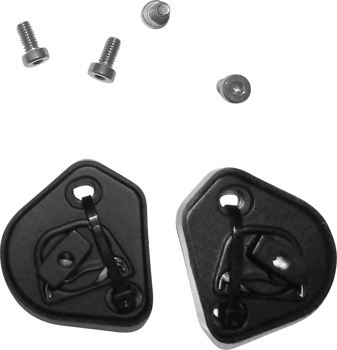 Pista GP RR/Corsa R/Veloce S Pivot Kit - With Screws (1)