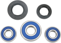 All Balls Wheel Bearing Kit 25-1269
