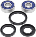 All Balls Wheel Bearing Kit 25-1310