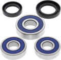 All Balls Wheel Bearing Kit 25-1355