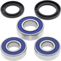 All Balls Wheel Bearing Kit 25-1386
