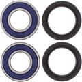 All Balls Wheel Bearing Kit 25-1389