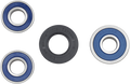 All Balls Wheel Bearing Kit 25-1422