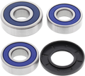 All Balls Bearing-kit,wh RR-XVS1100