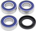 All Balls Bearing Kit Wheel Rear Suz