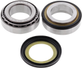 All Balls Bearing Steering Stem Tri