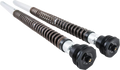 Cartridge Kit - Front - NIX30 - Softail (FKS508) (1)