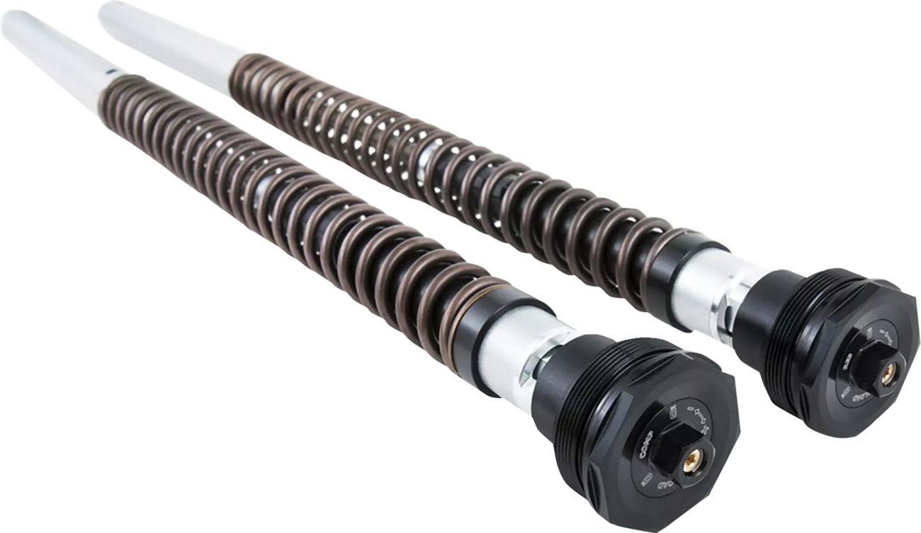 Cartridge Kit - Front - NIX30 - Softail (FKS508) (1)