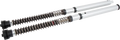 Cartridge Kit - Front - NIX30 - FLH/FLT CVO (FKS527) (1)