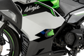 PUIG HI-TECH PARTS Frame Sliders - R19 - Kawasaki - Ninja e-1