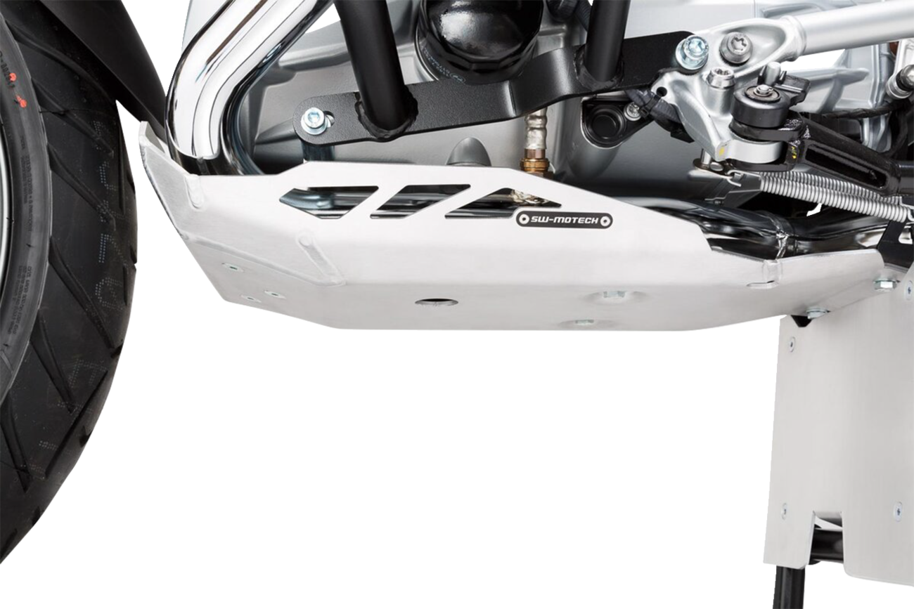 Engine Guard - Silver - BMW - R (1)