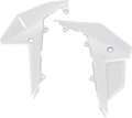 Side Panels - Lower - White - Honda (1)