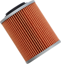 TWIN AIR Oil Filter - Aprilia/Can-Am