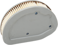 Drag Specialties Air 14-16 Flht Filter