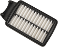 Drag Specialties Air Victry 7081648 Filter