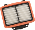 Drag Specialties Air Victry 7081395 Filter