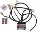 Ignition Module - Yamaha (1)