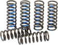 PRO CIRCUIT Clutch Springs - YZ 250F