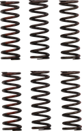 PRO CIRCUIT Clutch Springs - CRF 450R