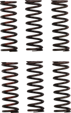 PRO CIRCUIT Clutch Springs - CRF 450R