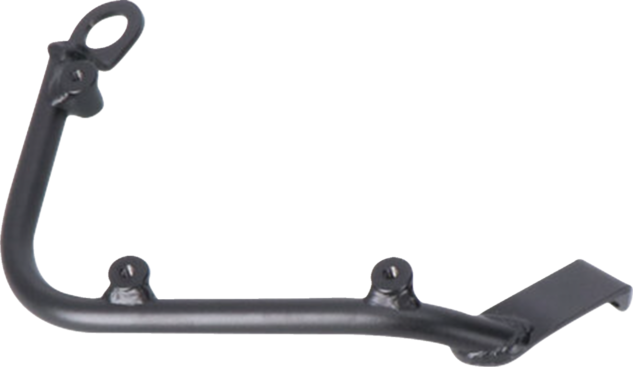 SLC Side Carrier - Left - BMW - R Nine T (1)