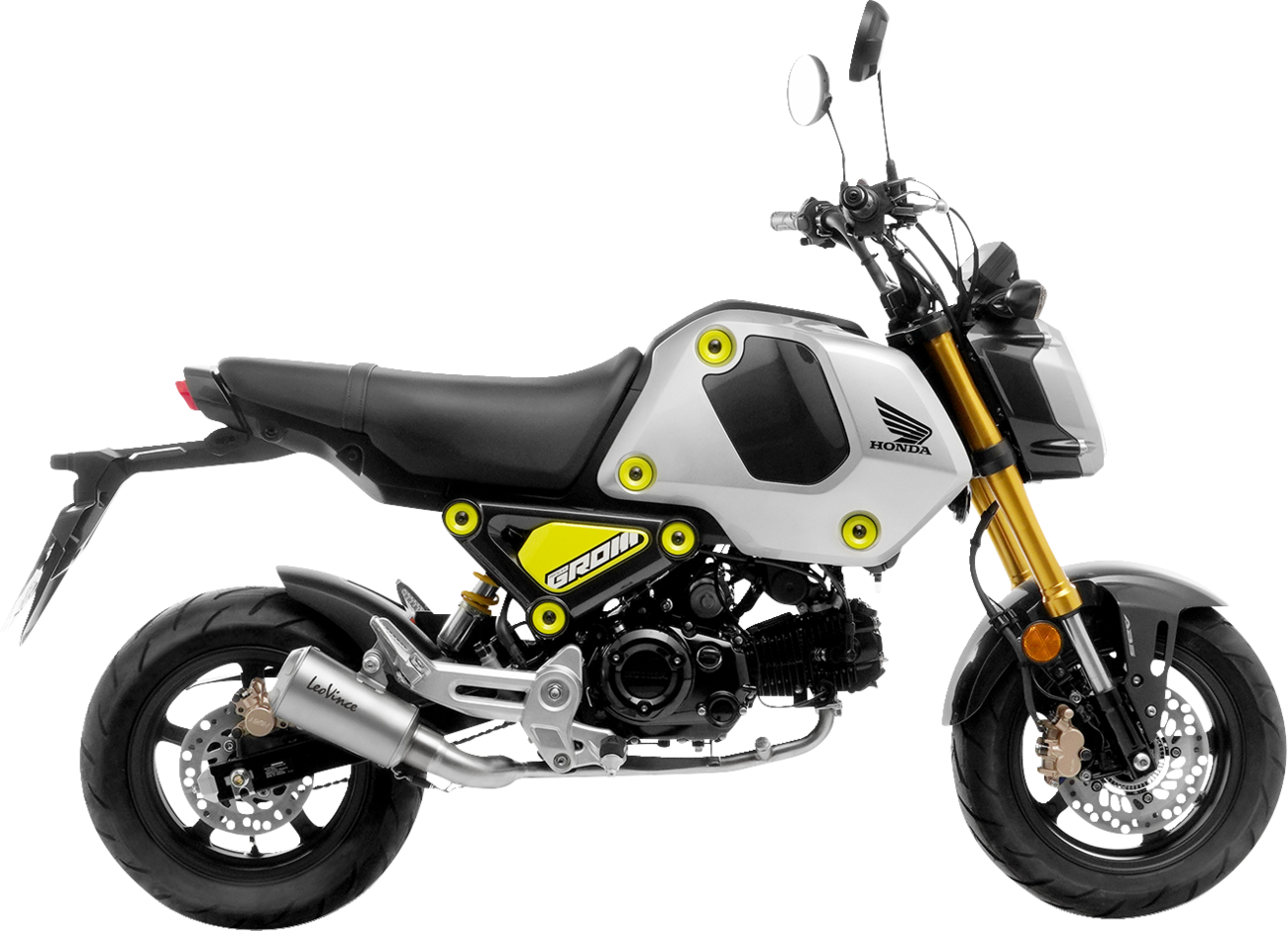 LEOVINCE LV-10 Exhaust - Stainless Steel