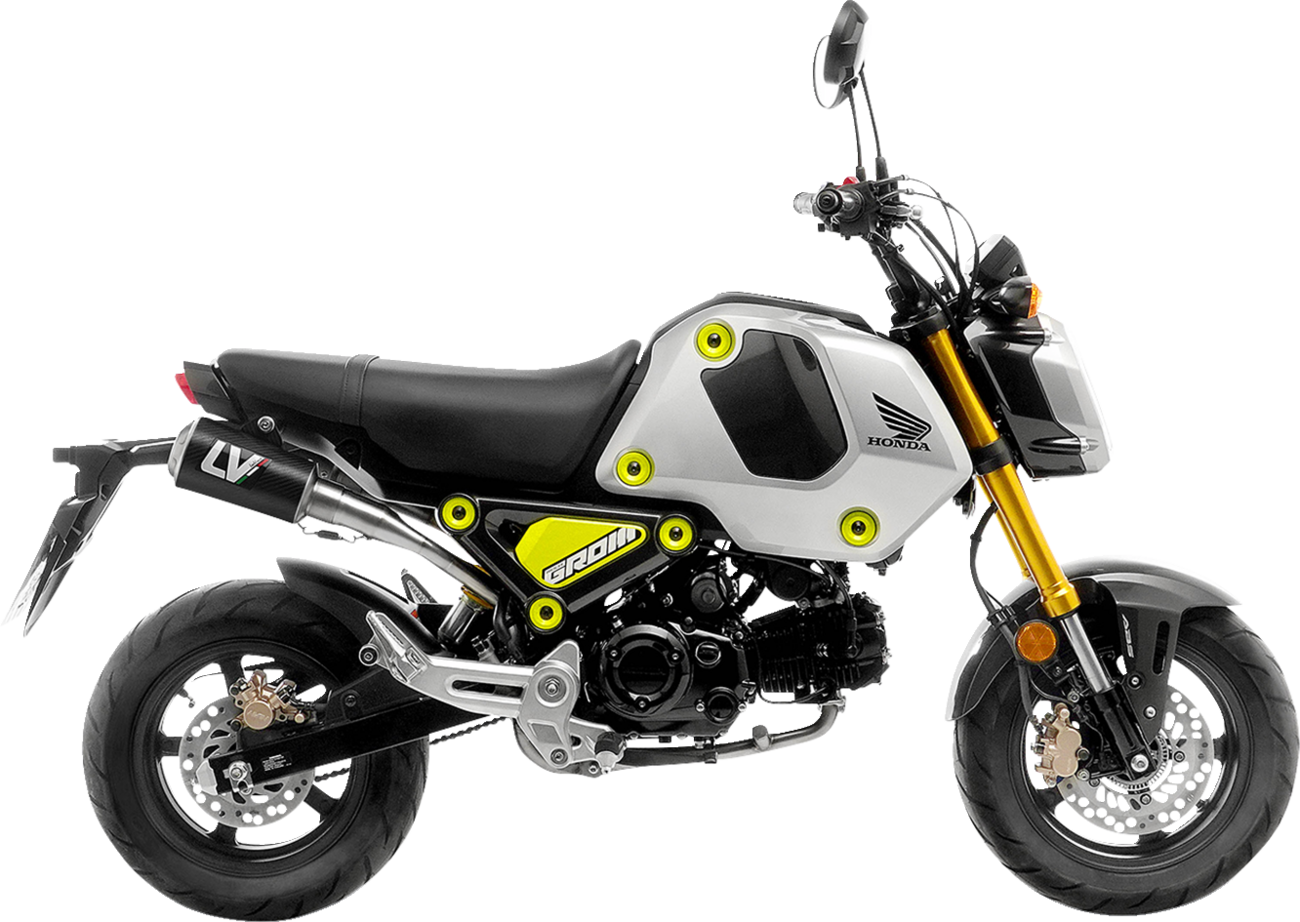 LV-10 Exhaust - Carbon Fiber (1)