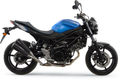 Dual GP Muffler (1)