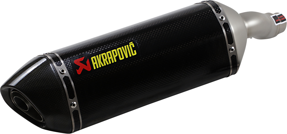 Slip-On Line Muffler - Carbon Fiber (1)