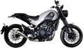 LV-10 Slip-On Muffler - Stainless Steel (1)