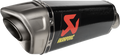 Slip-On Series Muffler - Carbon Fiber (1)