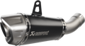 Race Muffler - Titanium (1)