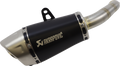 Slip-On Muffler - Titanium (1)