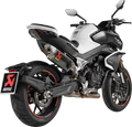 Slip-On Line Muffler - Carbon Fiber - CF Moto 800NK (1)
