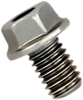 AKRAPOVIC Replacement Exhaust Bolt
