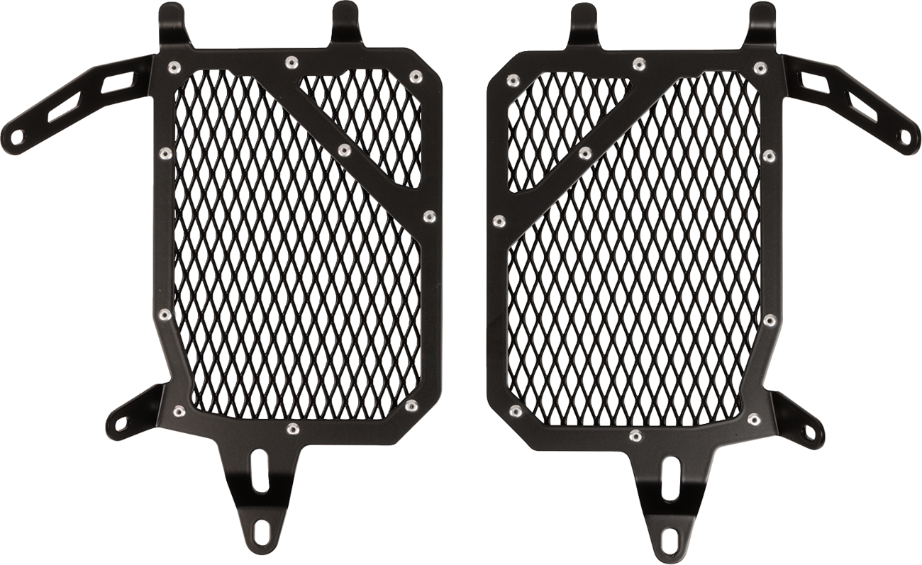 Radiator Guard - Black - BMW (1)