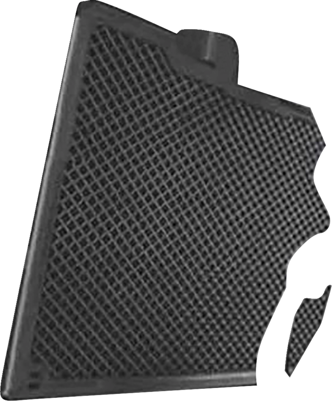 GIVI Radiator Guard - BMW