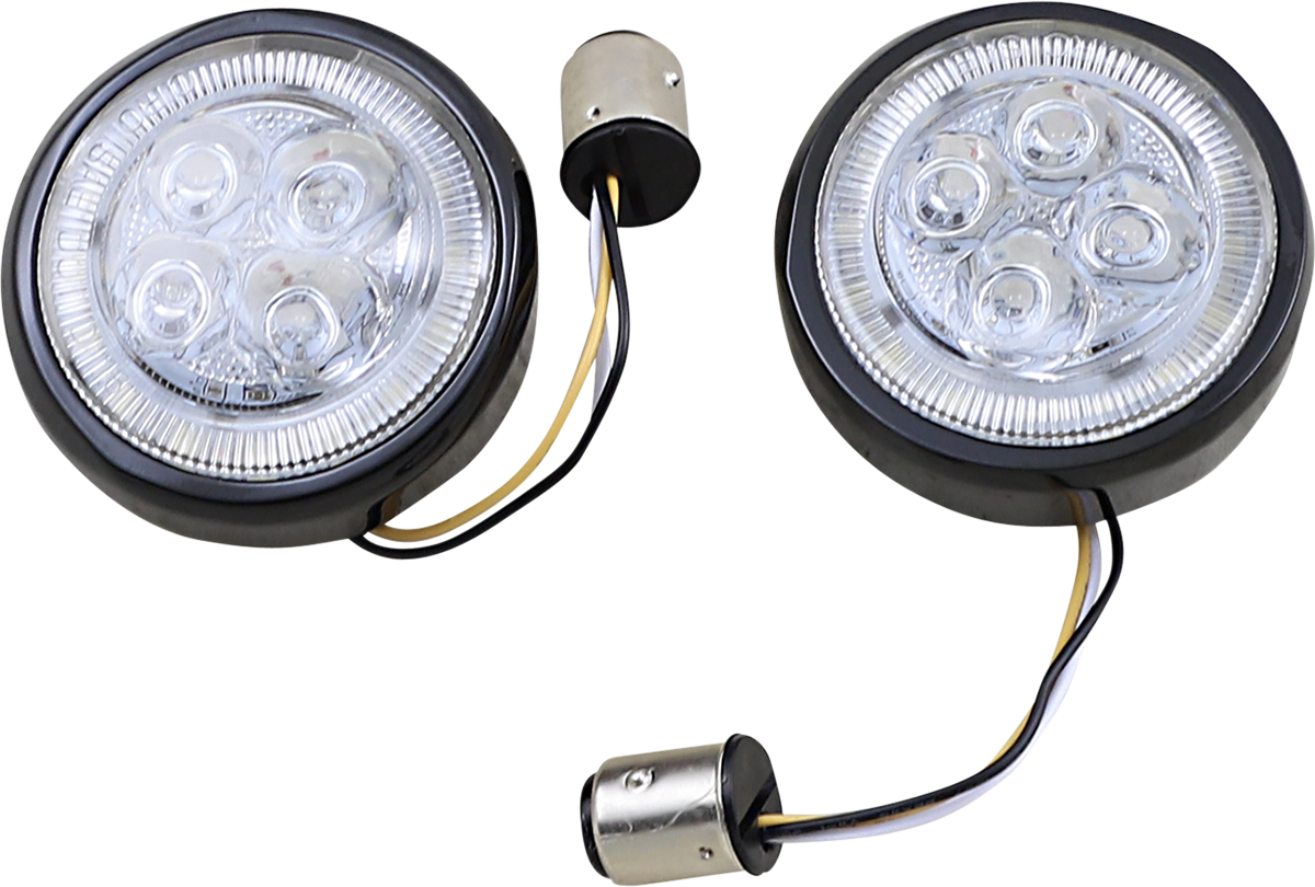 Ciro Light Fang Front Black