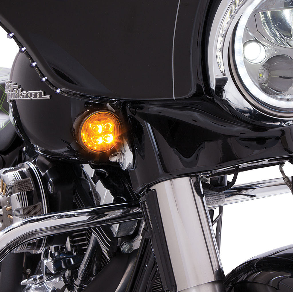 Ciro Light Fang Front Black