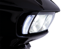 Ciro Light Bezel Fang Fltr - Black