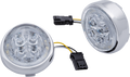 Ciro Light Fang Front Chr/clr