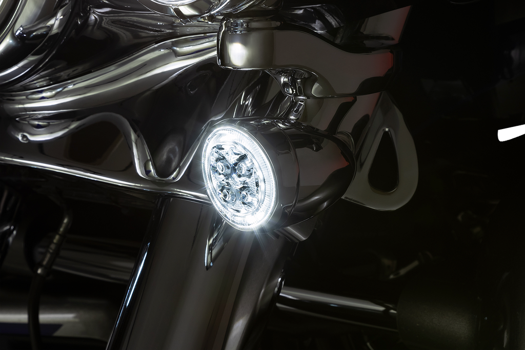 Ciro Light Fang Front Chr/clr
