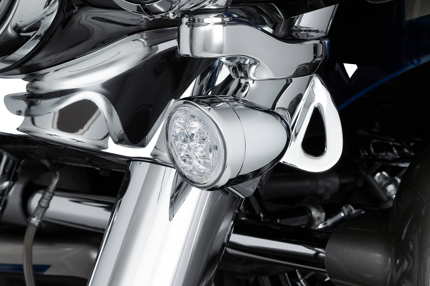 Ciro Light Fang Front Chr/clr