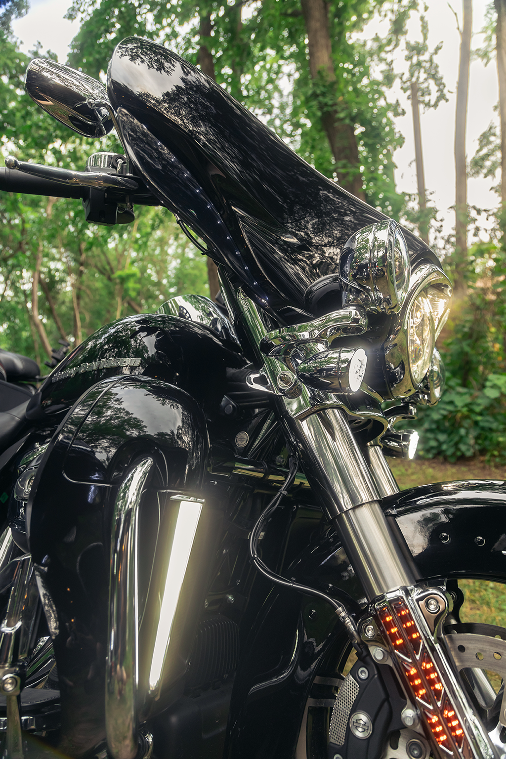 Ciro Lights Fang Lwr Frng - Chrome