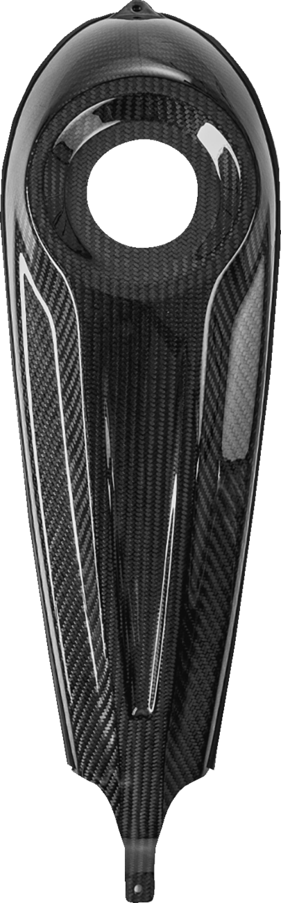 SADDLEMEN Dash Panel - Center Fill - Carbon Fiber/Gloss