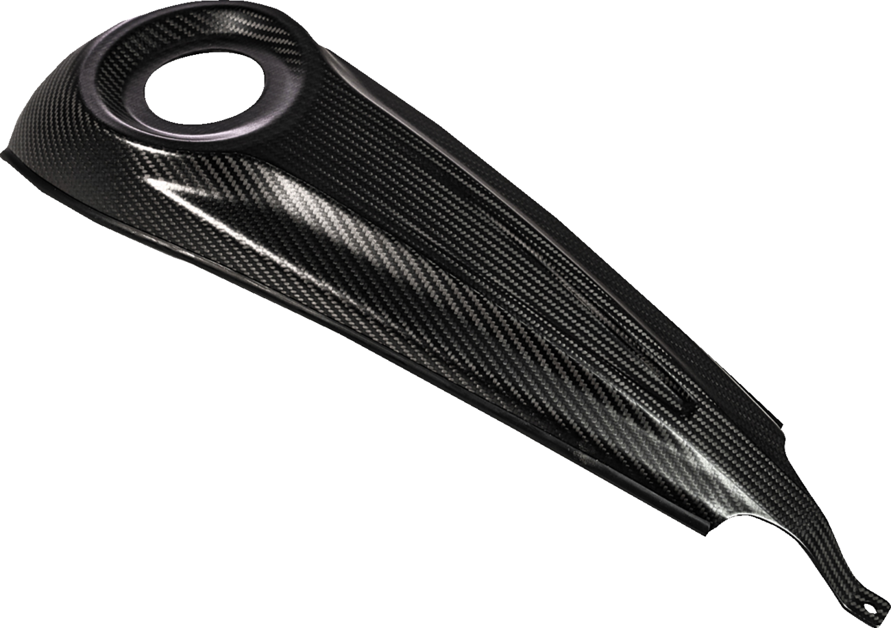 SADDLEMEN Dash Panel - Center Fill - Carbon Fiber/Gloss