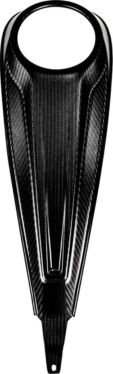 SADDLEMEN Dash Panel - Center Fill - Carbon Fiber/Gloss