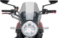 PUIG HI-TECH PARTS Naked Windshield - Smoke - Z900RS/SE