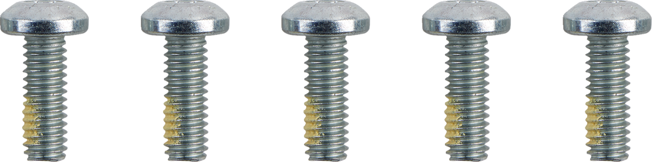 Drag Specialties Screws F Rtr 5/16-18TORX
