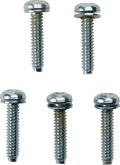 Drag Specialties Screw Efi MNT(1081A) 5PK